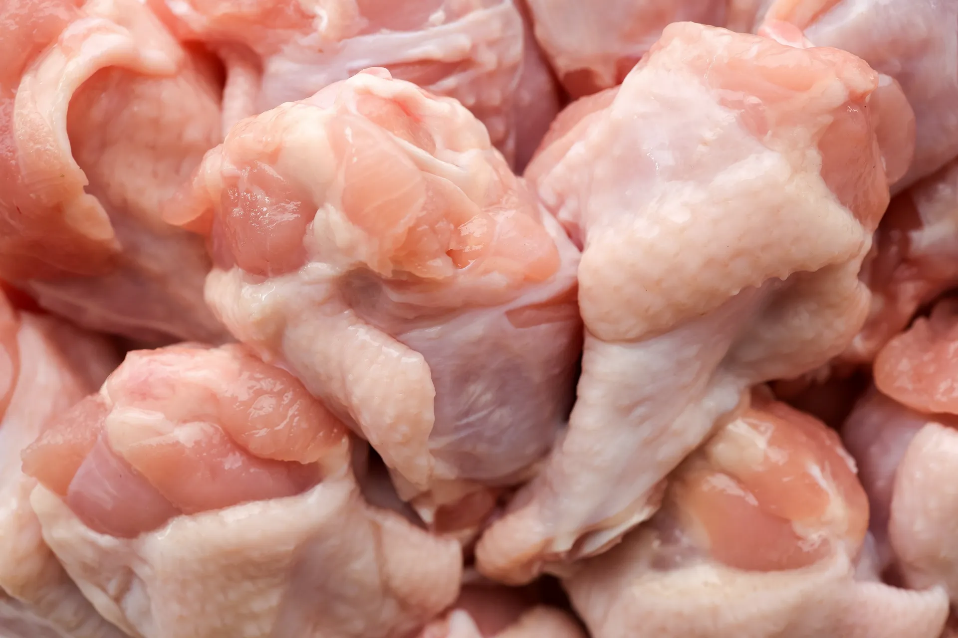 Fresh chicken wings at Jaworski Meats, raw party wings ready for your next event